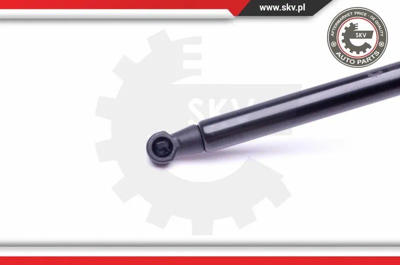 Gas Spring, boot/cargo area