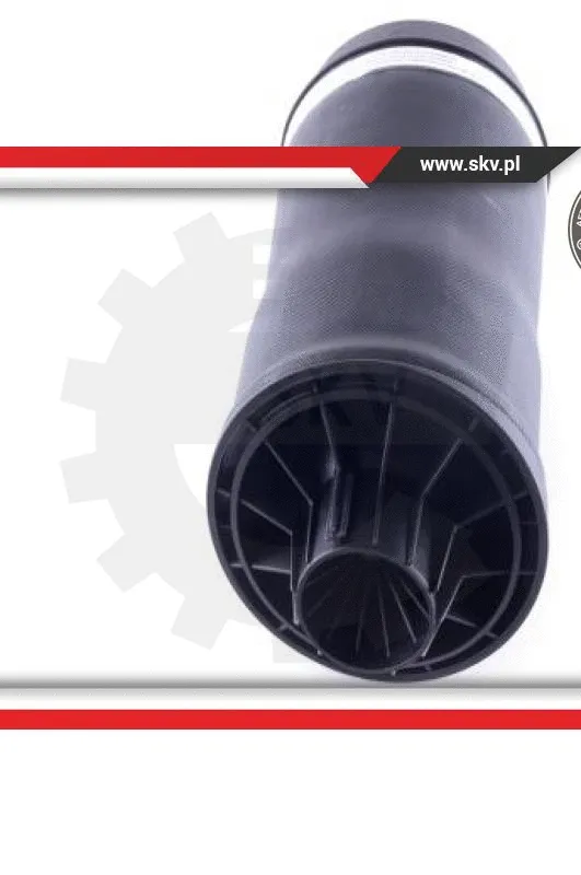 Air Spring, suspension