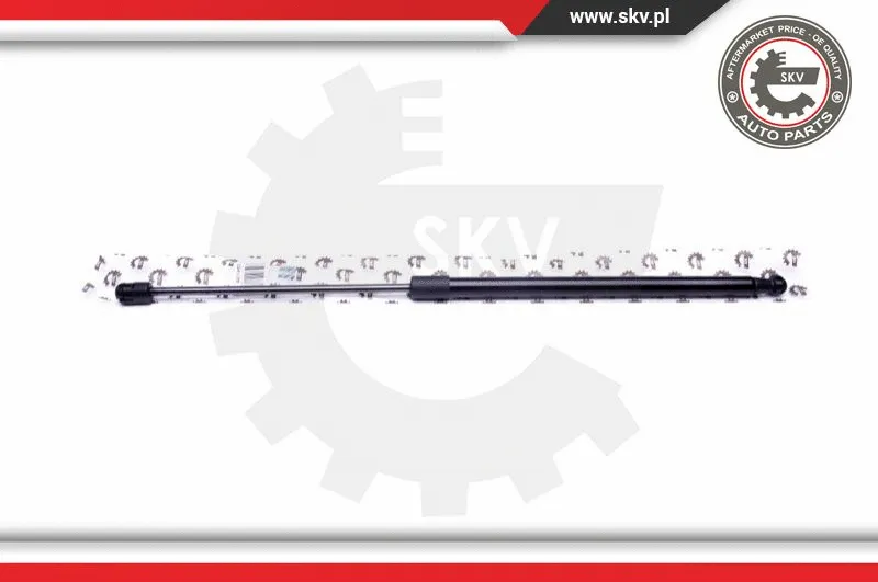 Gas Spring, boot/cargo area