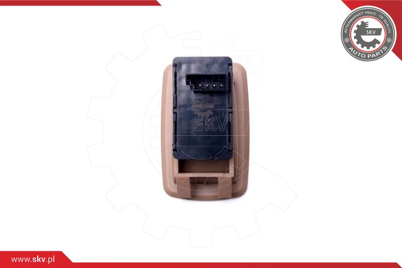 Switch, window regulator