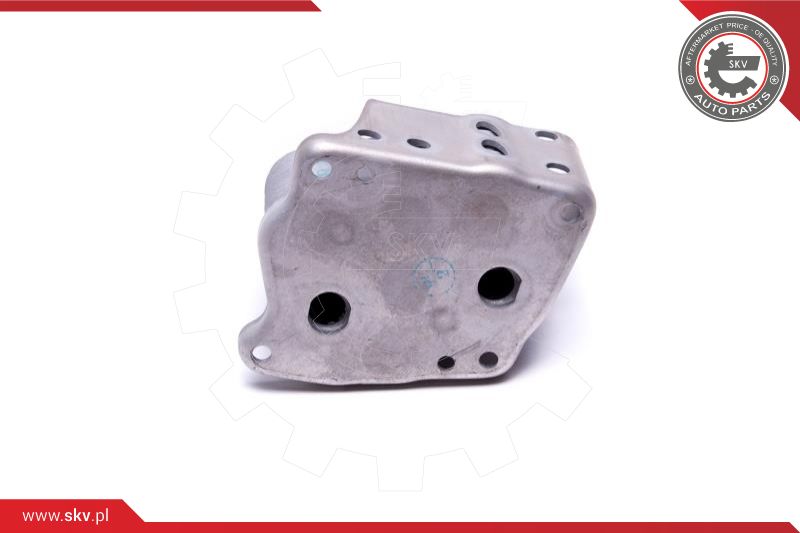 Oil Cooler, engine oil