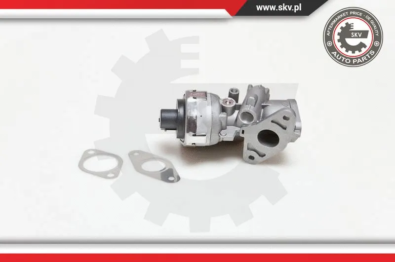 EGR Valve