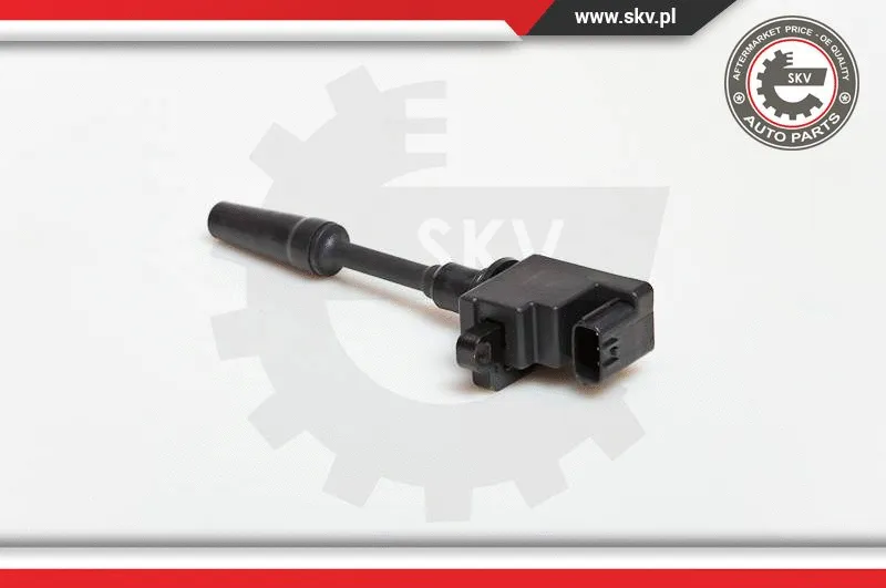 Ignition Coil (03SKV076)