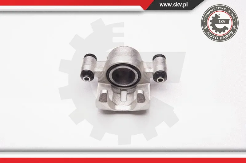Brake Caliper (34SKV262)