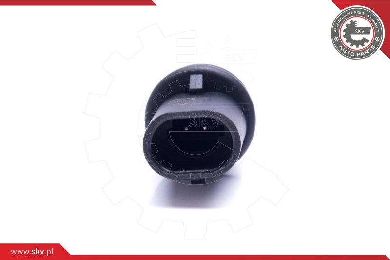 Sensor, intake air temperature