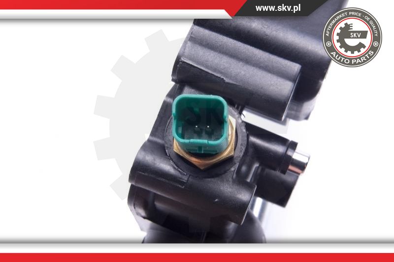 Thermostat, coolant