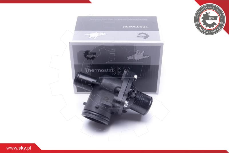 Thermostat, coolant (20SKV190)