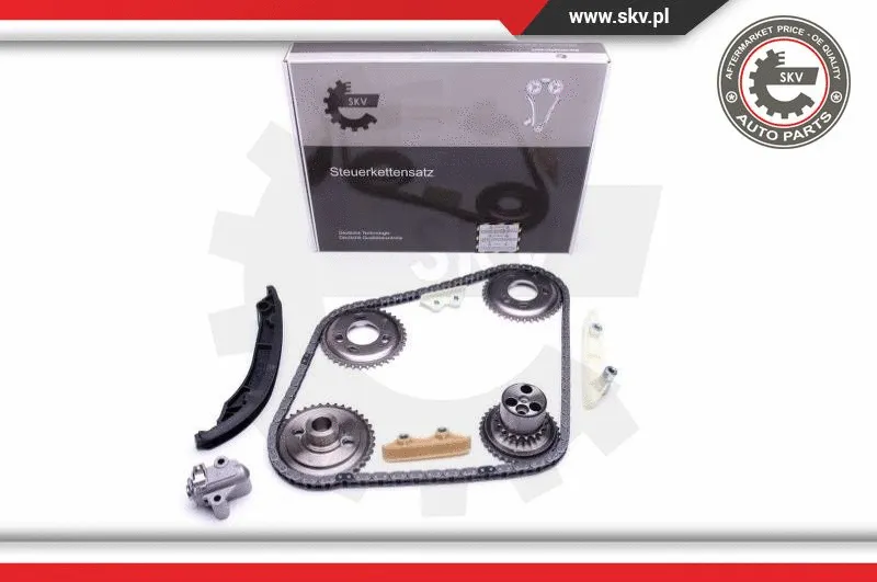 Timing Chain Kit (21SKV120)