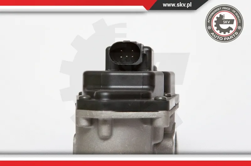EGR Valve