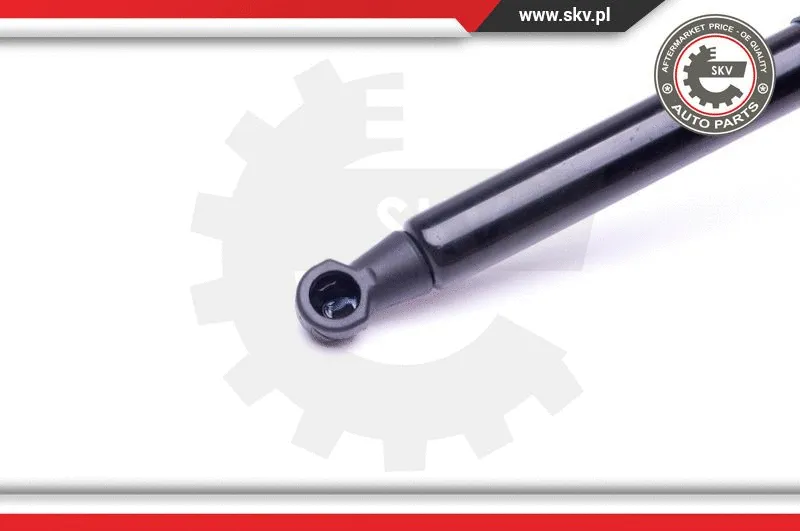 Gas Spring, boot/cargo area