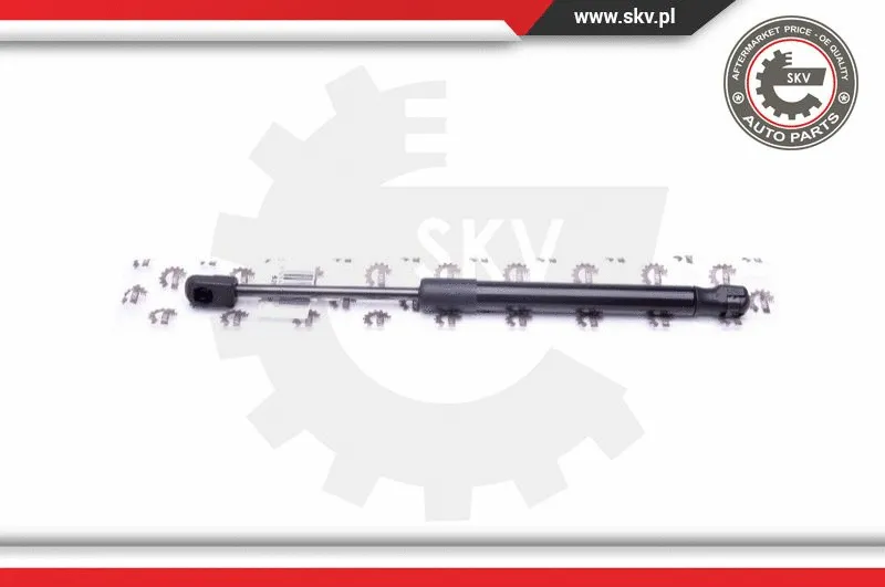 Gas Spring, boot/cargo area
