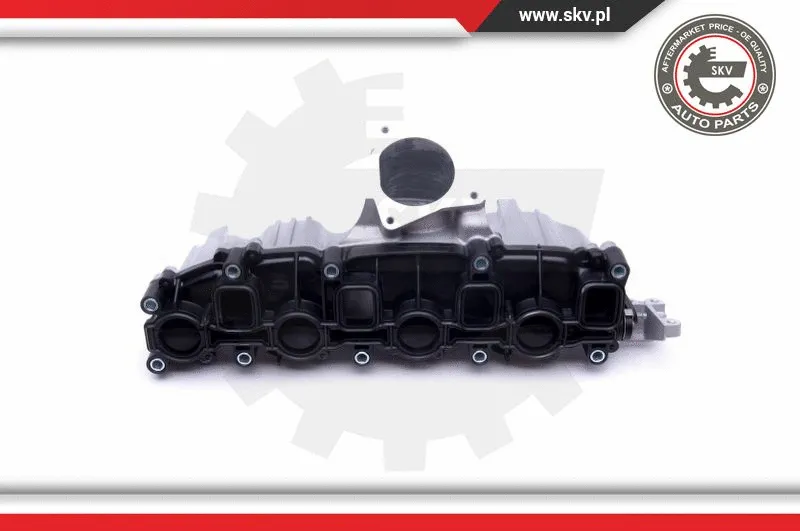 Intake Manifold Module