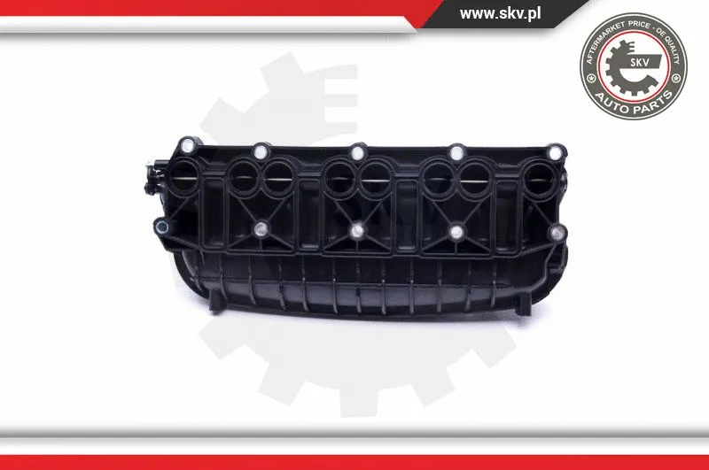 Intake Manifold Module