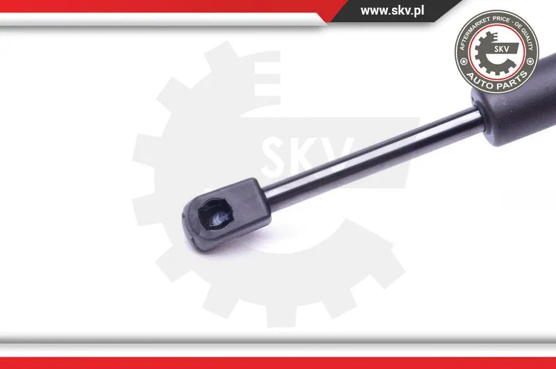 Gas Spring, boot/cargo area