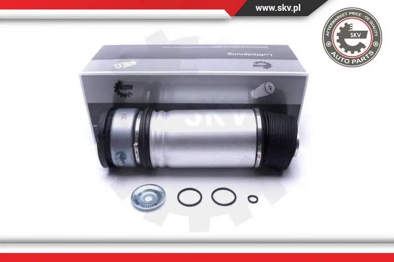 Air Suspension Strut (58SKV063)
