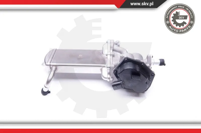 EGR Valve