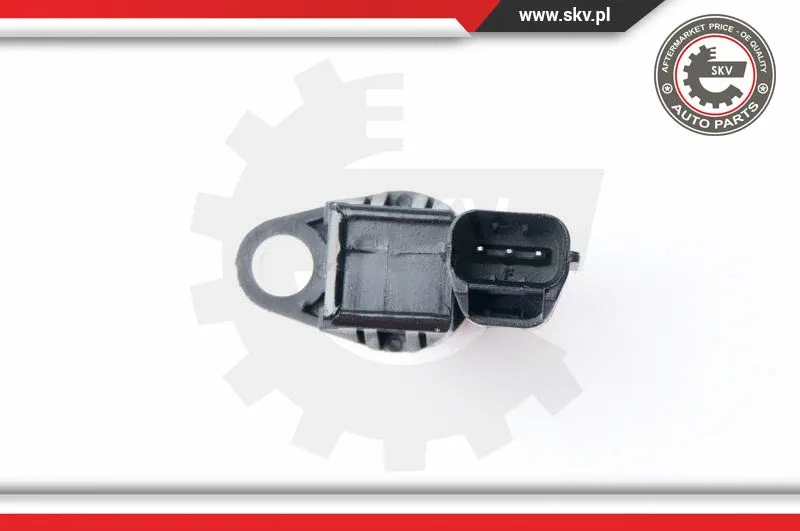 Sensor, camshaft position (17SKV243)