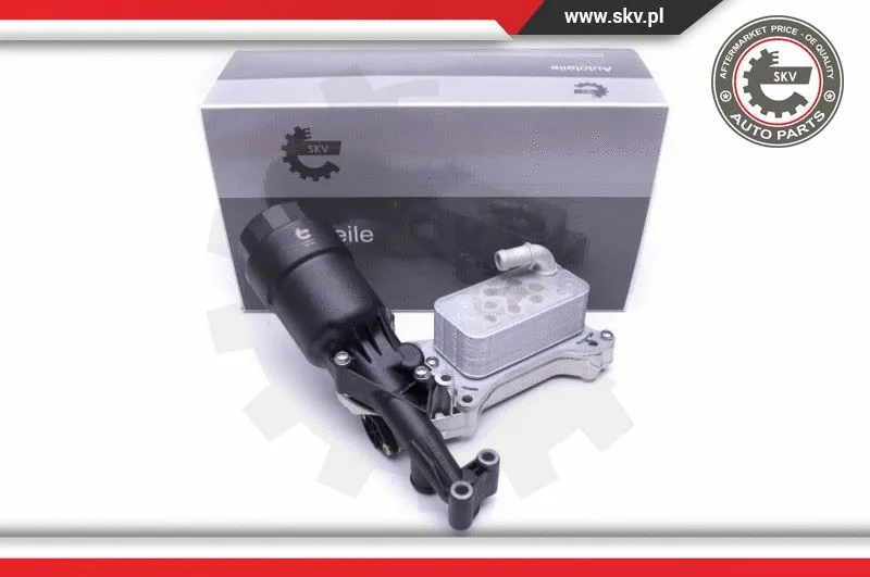 Oil Cooler, engine oil (31SKV171)