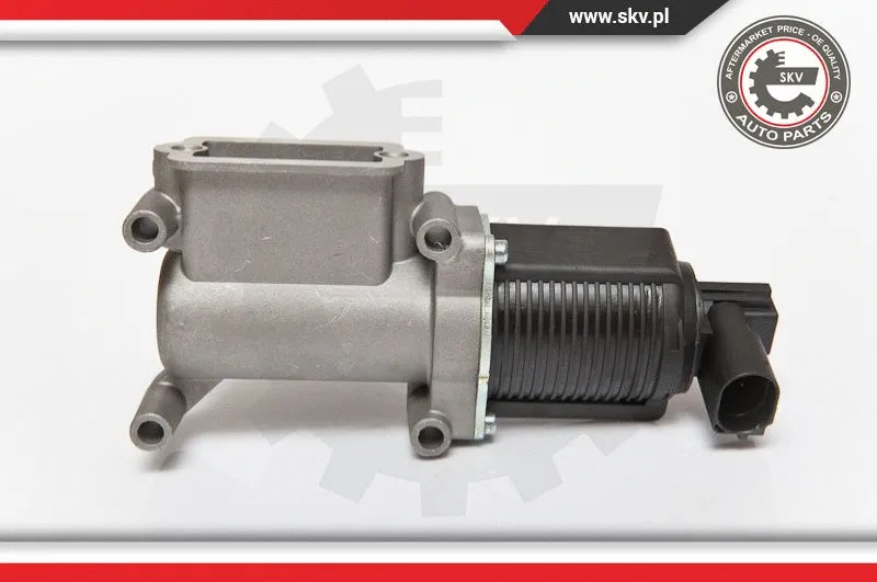 EGR Valve