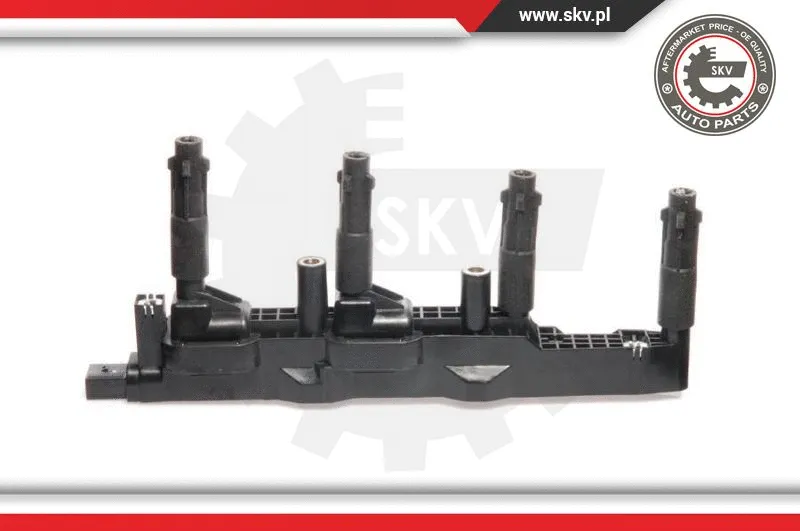 Ignition Coil (03SKV071)