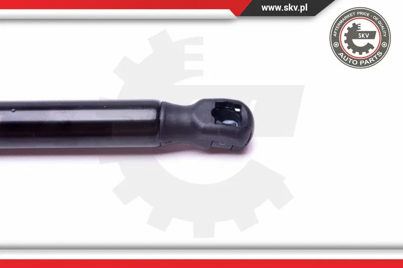 Gas Spring, boot/cargo area