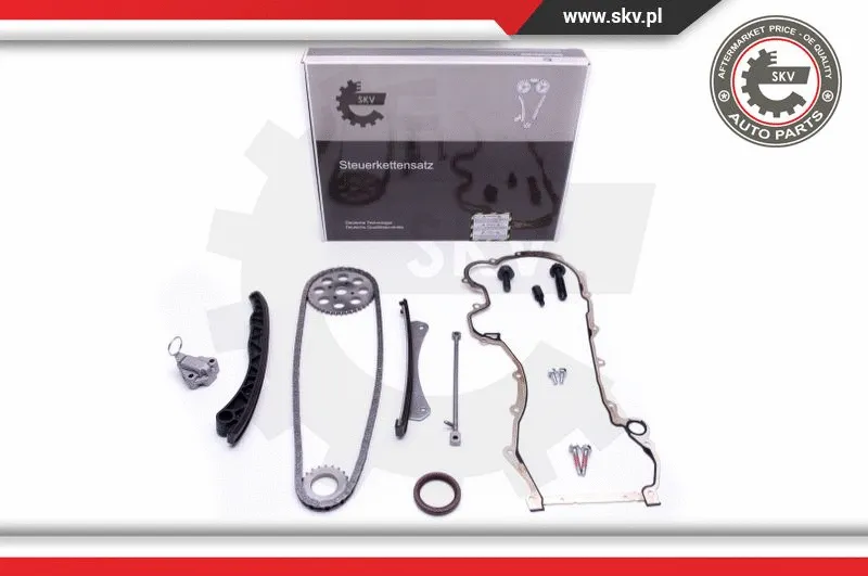 Timing Chain Kit (21SKV221)