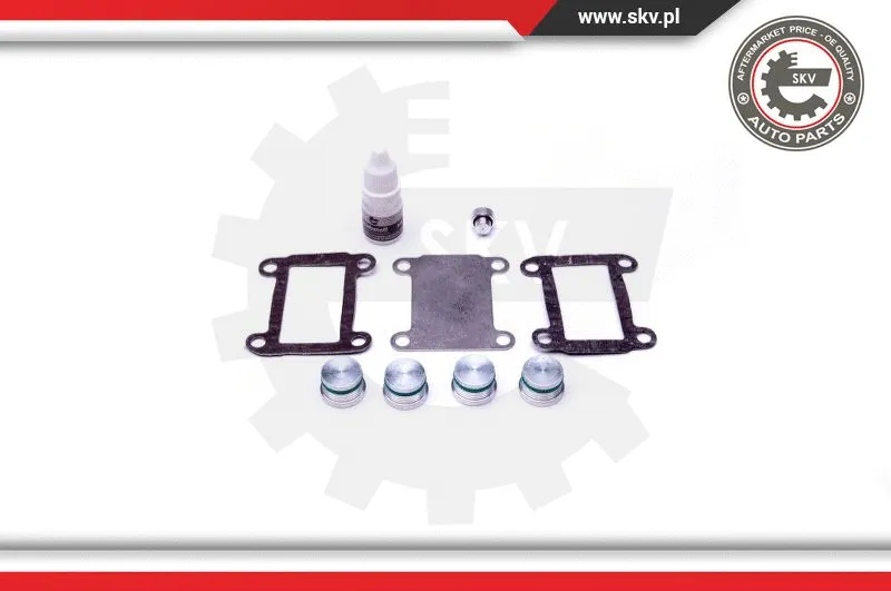 Repair Kit, intake manifold module
