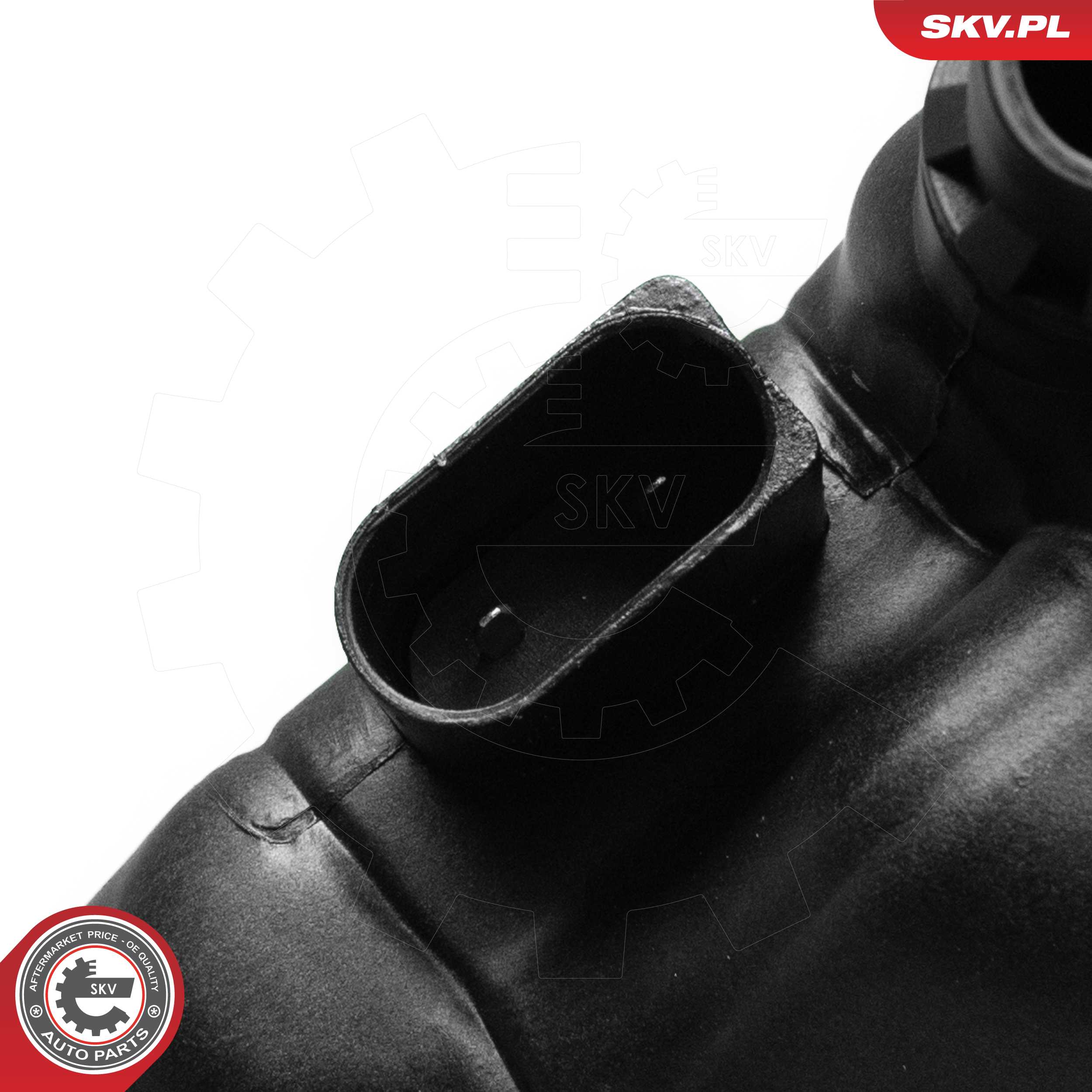 Expansion Tank, coolant