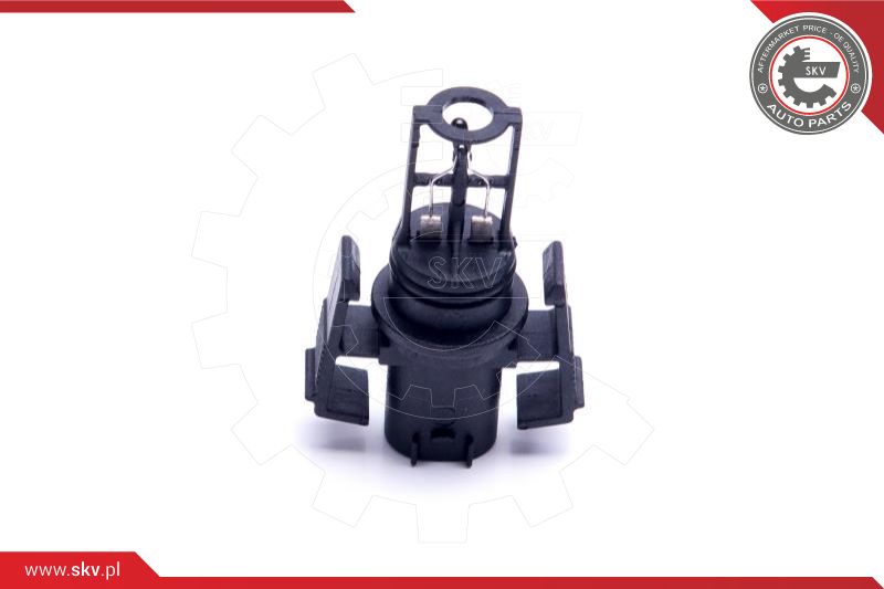 Sensor, intake air temperature