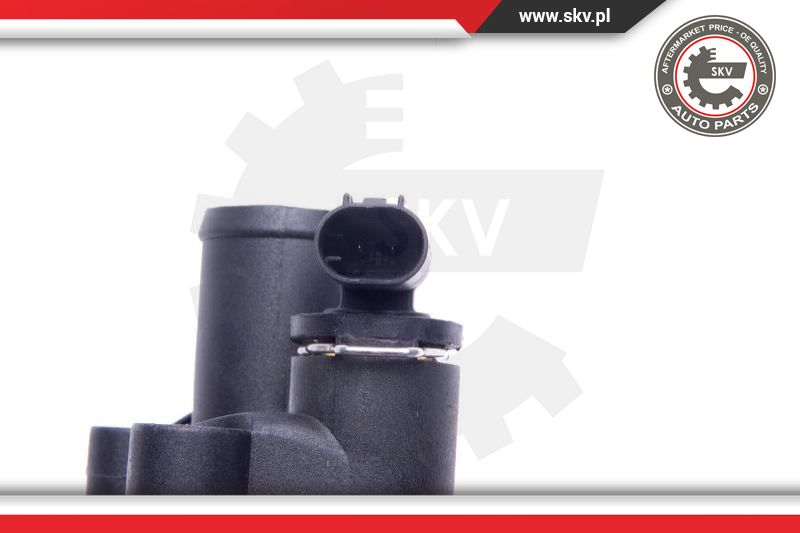 Thermostat, coolant