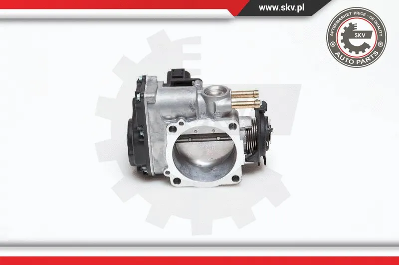Throttle Body
