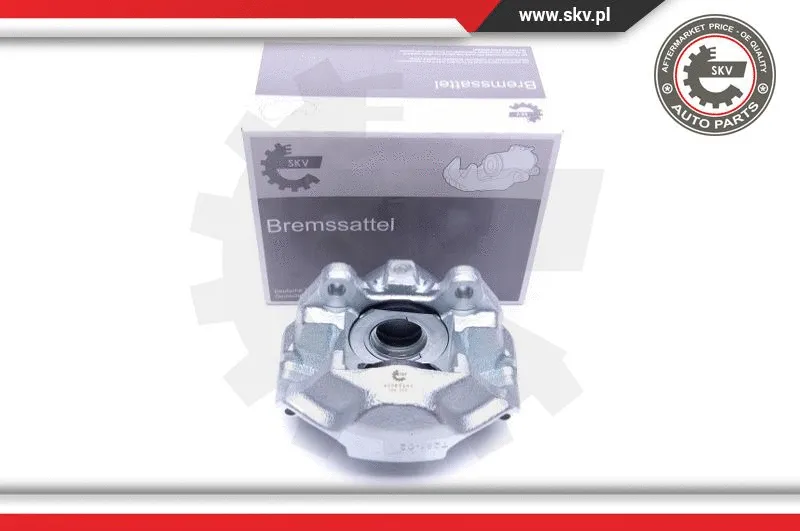 Brake Caliper (45SKV252)