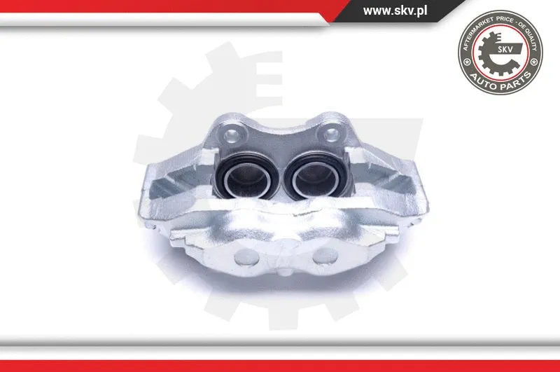 Brake Caliper (45SKV231)
