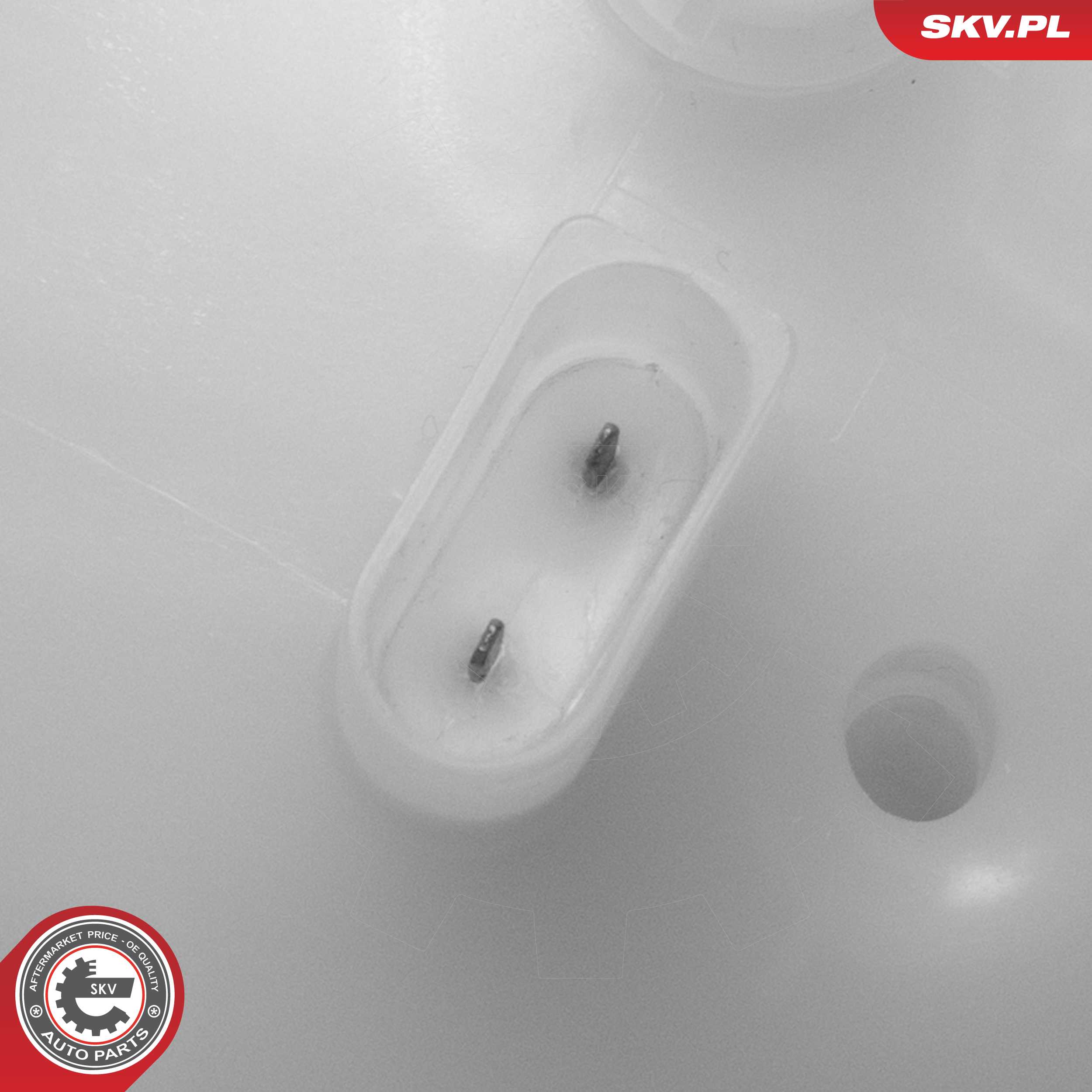 Expansion Tank, coolant