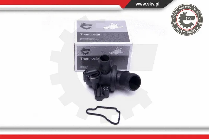 Thermostat, coolant (20SKV092)