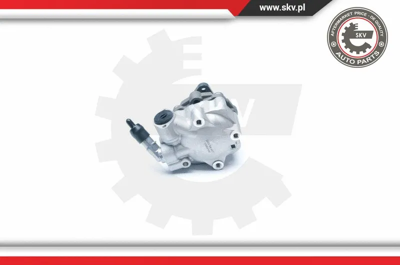 Hydraulic Pump, steering (10SKV184)