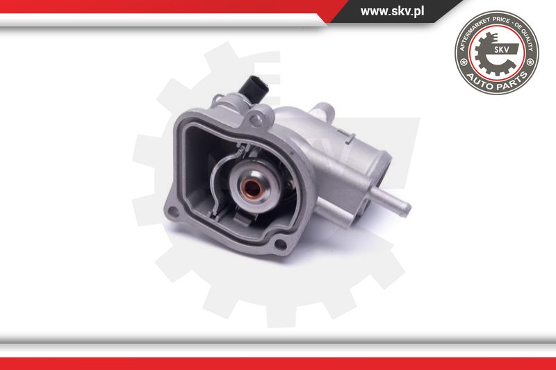 Thermostat, coolant