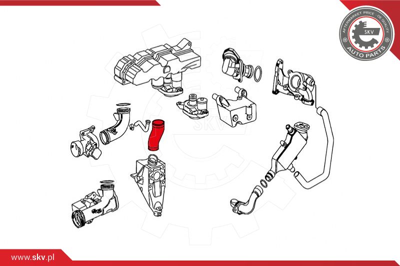 Charge Air Hose