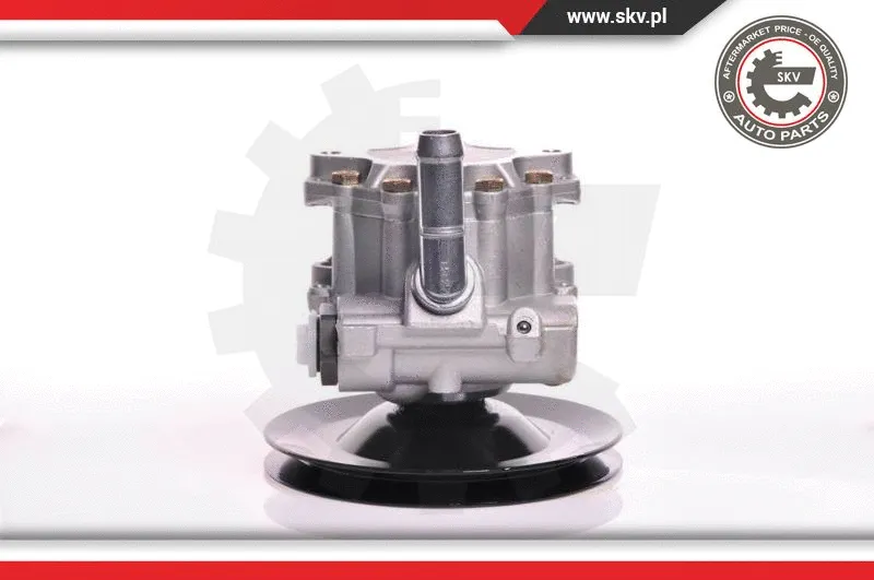 Hydraulic Pump, steering (10SKV169)