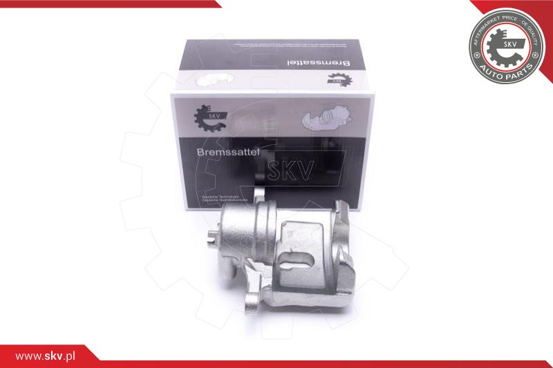 Brake Caliper (46SKV831)