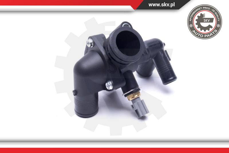 Thermostat, coolant