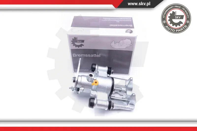 Brake Caliper (42SKV384)