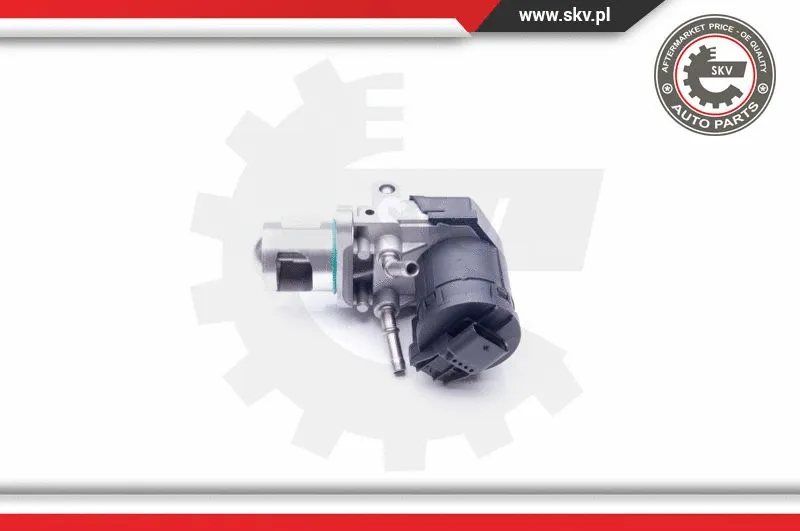 EGR Valve