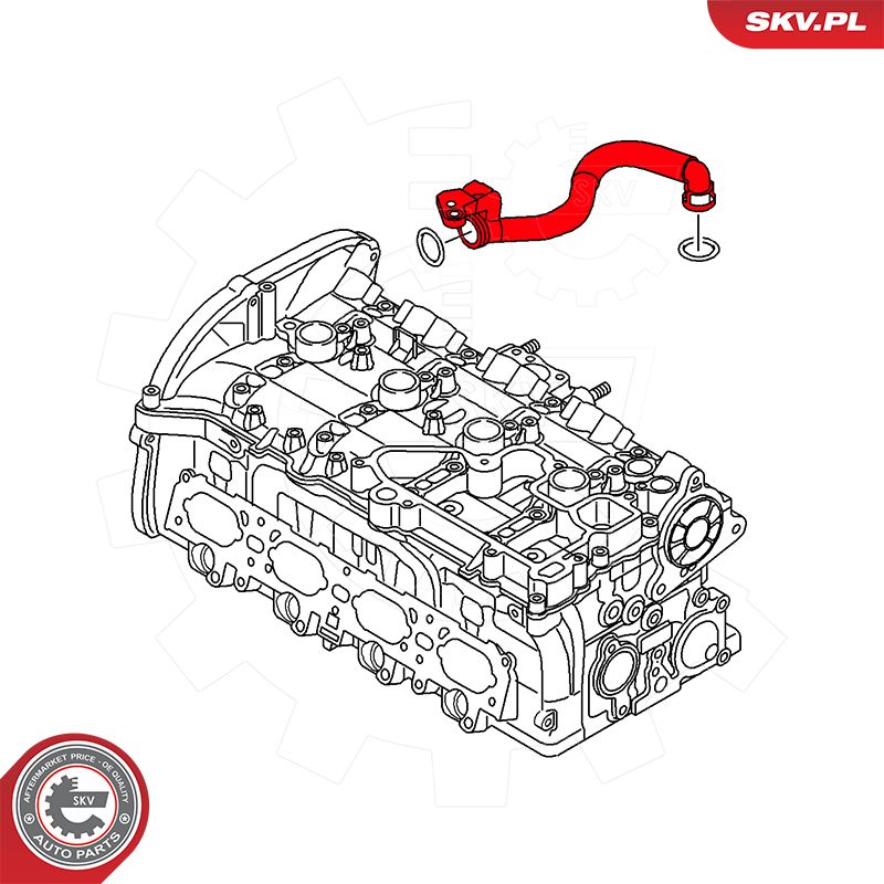 Hose, crankcase ventilation