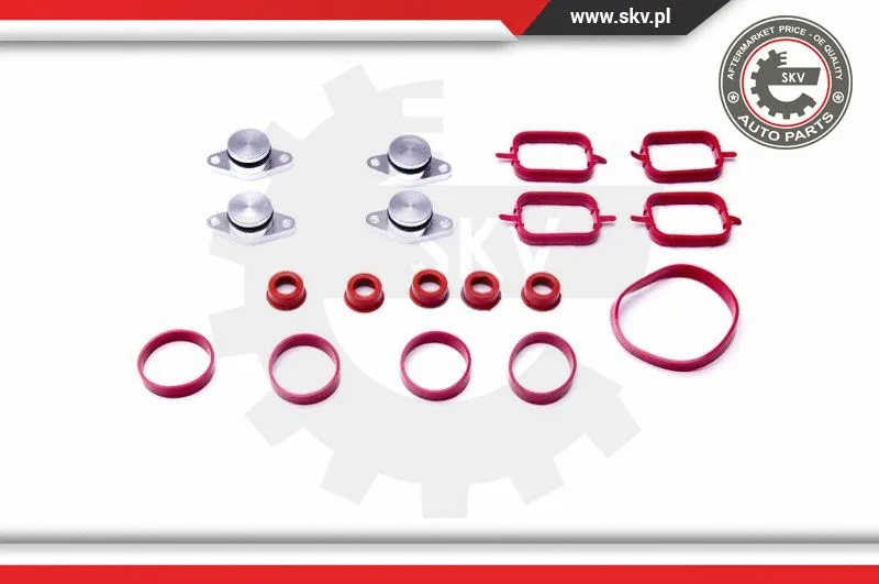 Gasket Set, intake manifold (96SKV054)