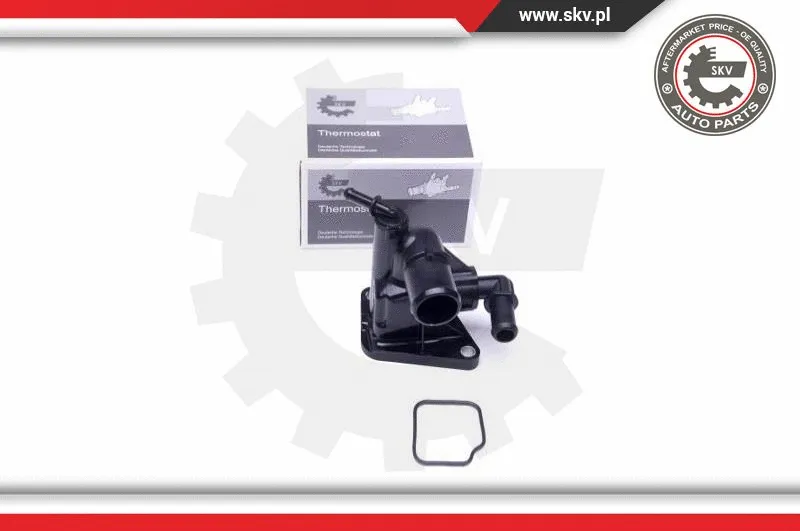 Thermostat, coolant (20SKV089)