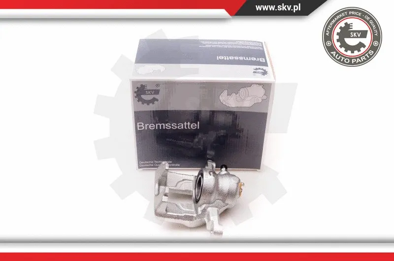 Brake Caliper (34SKV014)