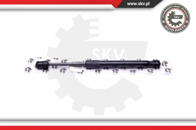 Gas Spring, boot/cargo area