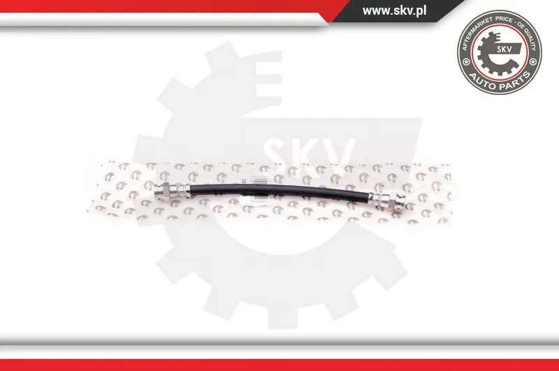 Brake Hose (35SKV068)