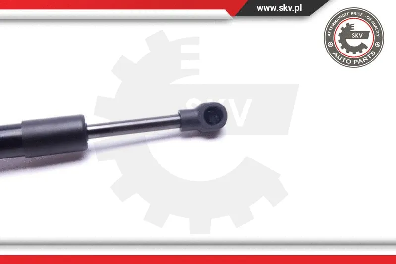 Gas Spring, boot/cargo area